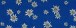 Edelweiss blau