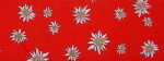 Edelweiss rot